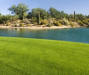 Explore Affordable Insurance Options For Your Company In Gainey Ranch, Scottsdale